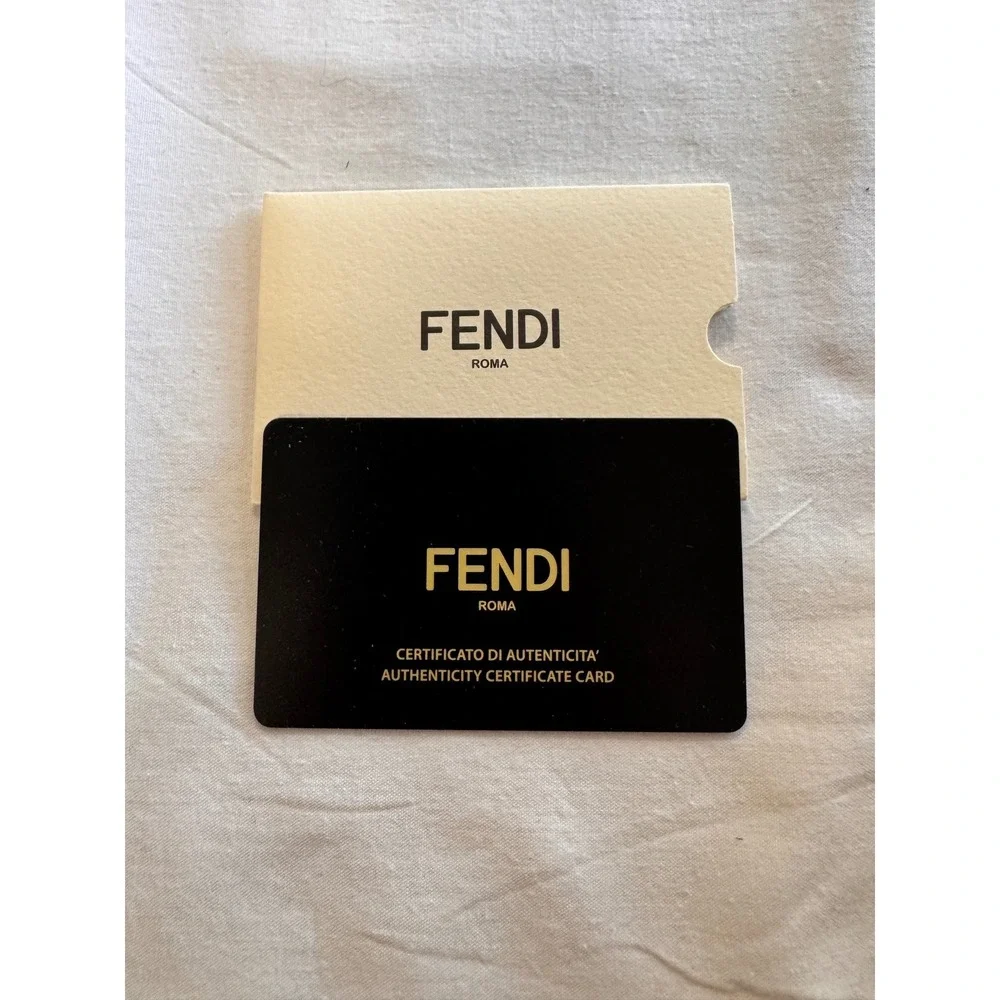 Fendi ff 0290